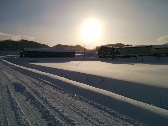 雪と朝日