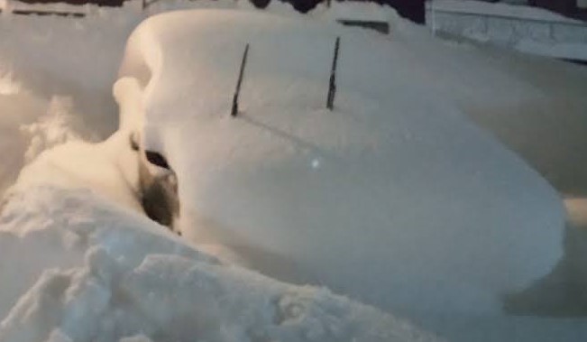 雪にうもれた車