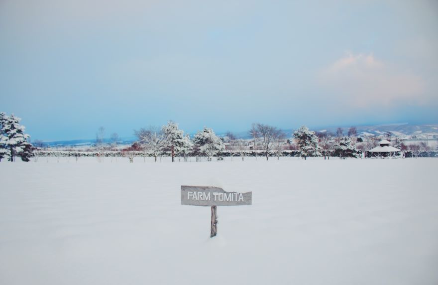 冬景色のファーム富田