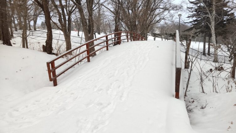 雪が積もった橋